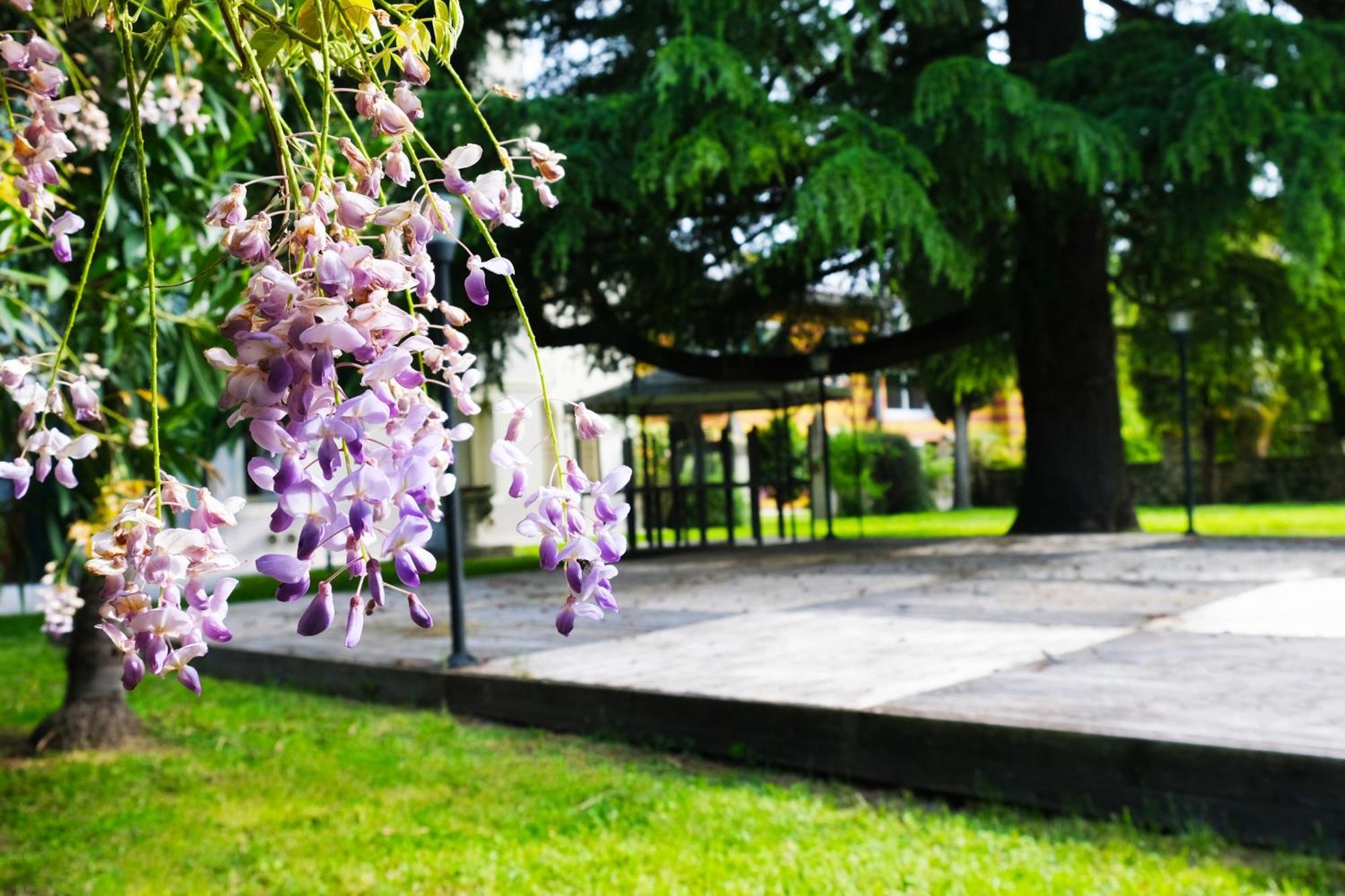 Hotel Villa Ca Damiani Caneva Kültér fotó