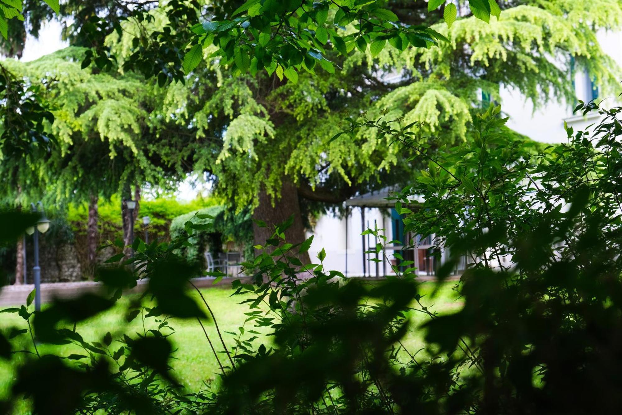 Hotel Villa Ca Damiani Caneva Kültér fotó